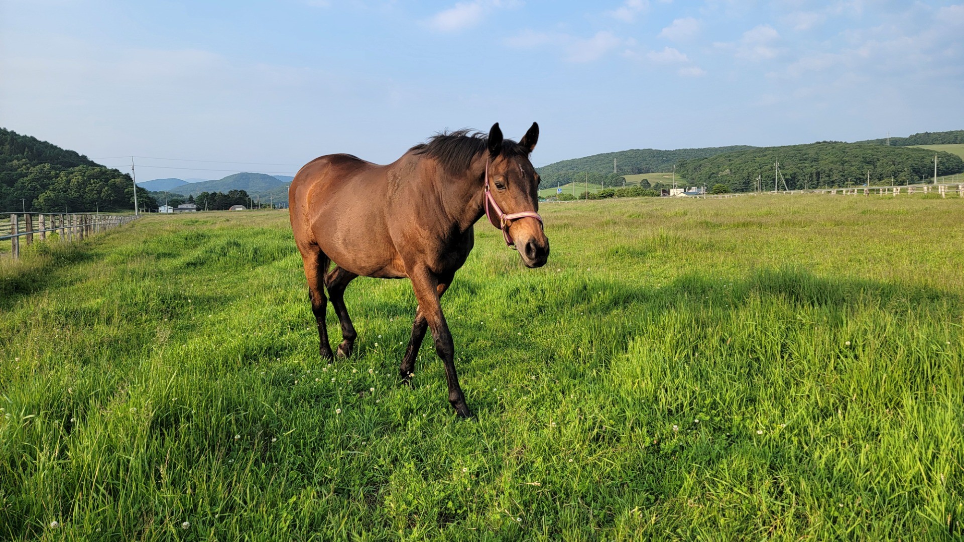 2ece5b735490f2b8688838b7e520d3fb-1760935657.jpg 2ece5b735490f2b8688838b7e520d3fb-1760935657.jpg